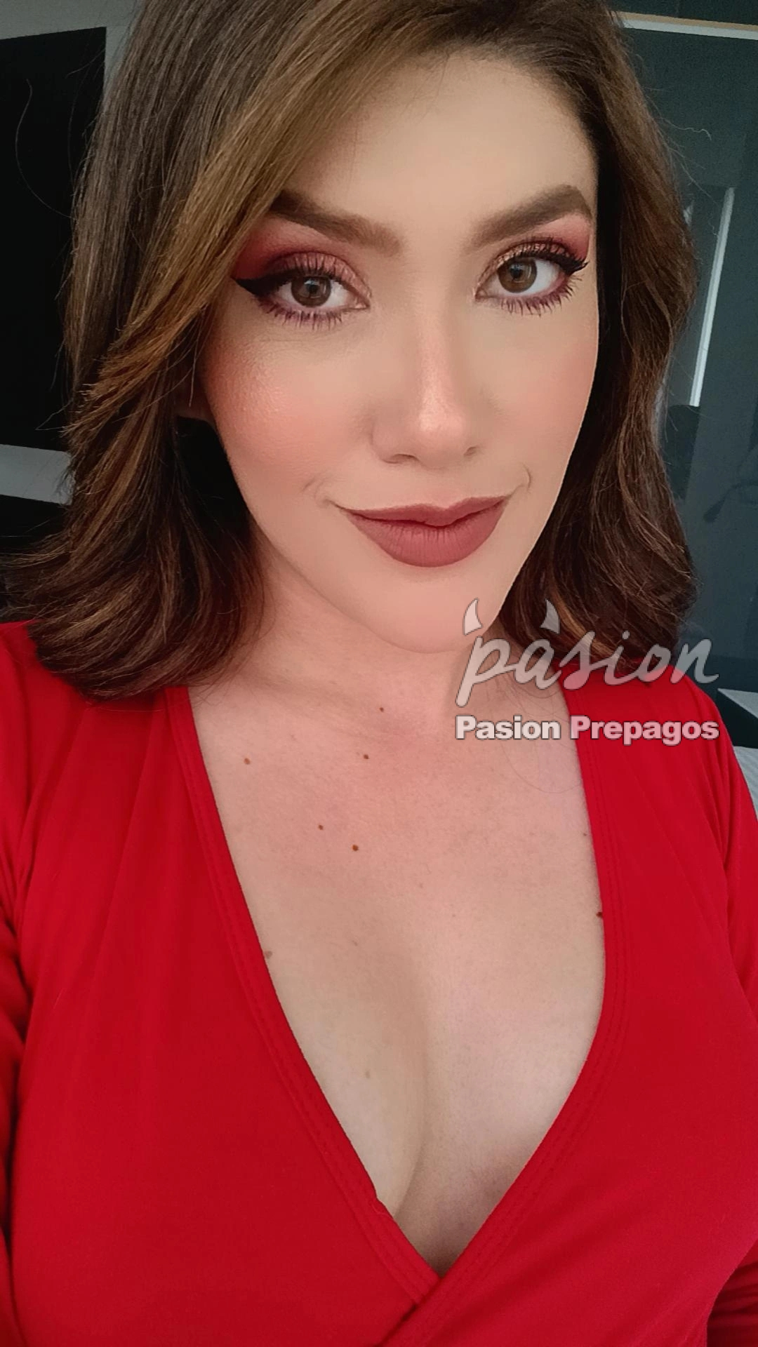 pasionprepagos.com