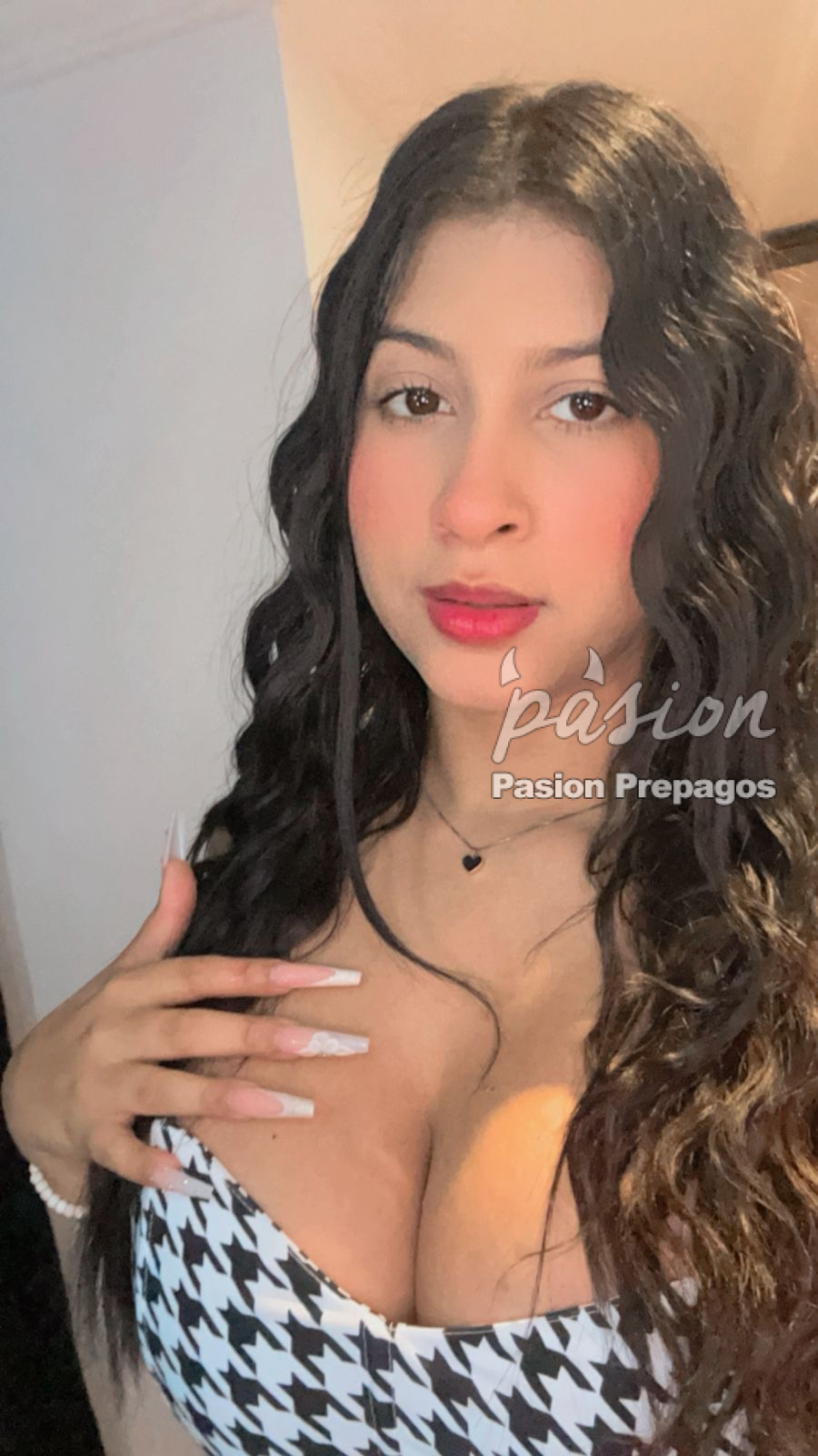 pasionprepagos.com