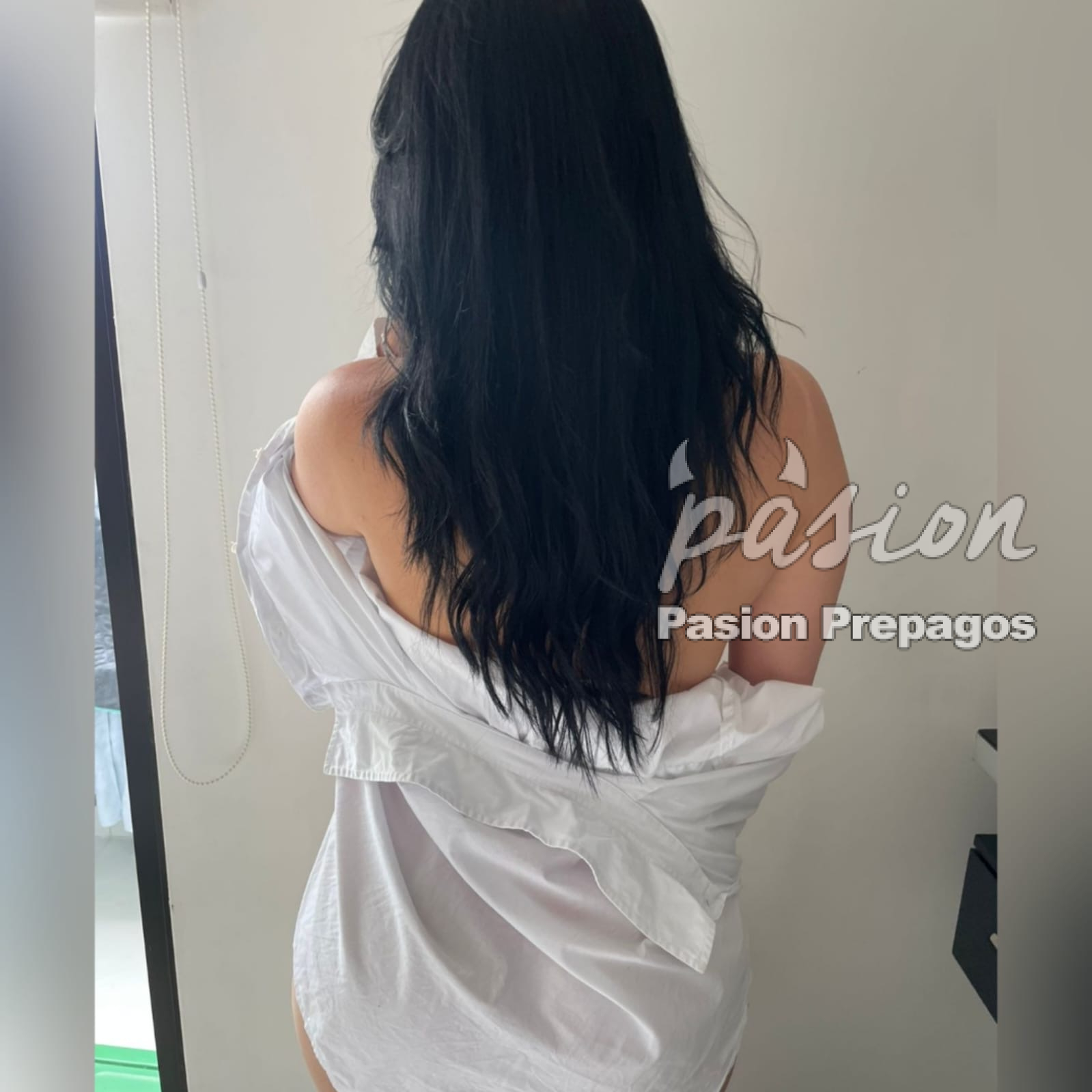 pasionprepagos.com