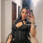 Actualización de VANE 3146814722