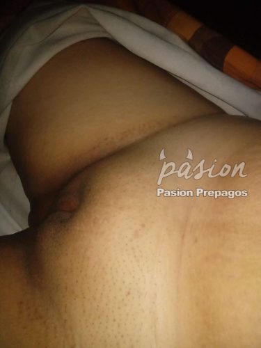 Paola 3242786229