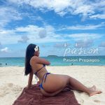 Actualización de Monica 3115513031