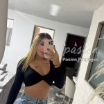 Actualización de Sammy 3122650618