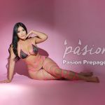 Actualización de Sofia 3046008953