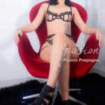 Actualización de Nicoll 3132383389