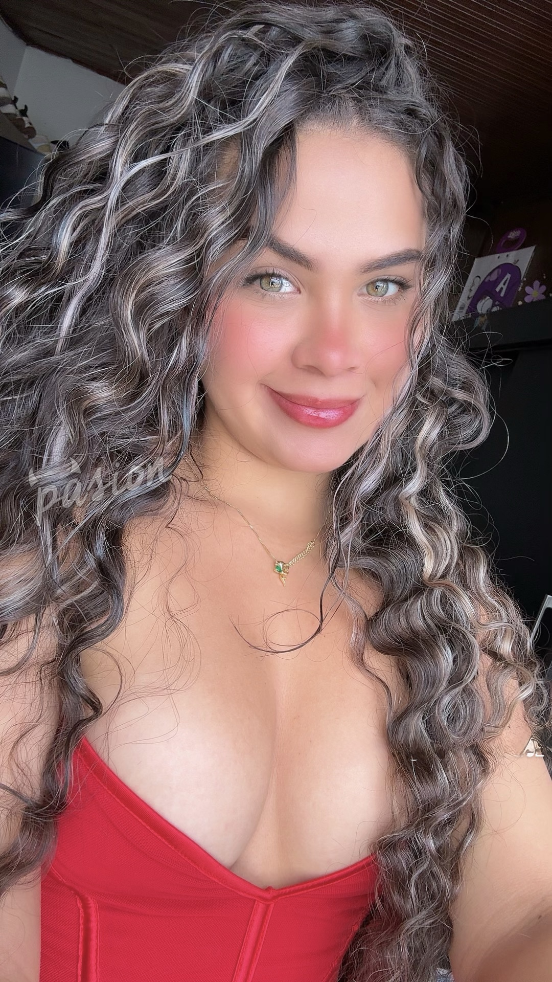 pasionprepagos.com