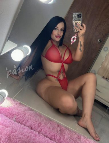 Mely 3128601087