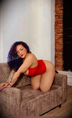 Violeta 3223549660