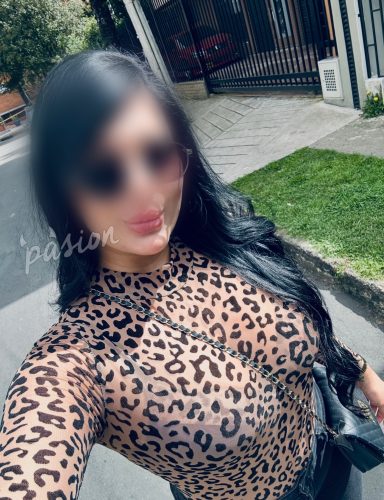 Camila 3115118416