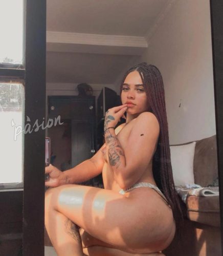 Cathaleya 3204354146