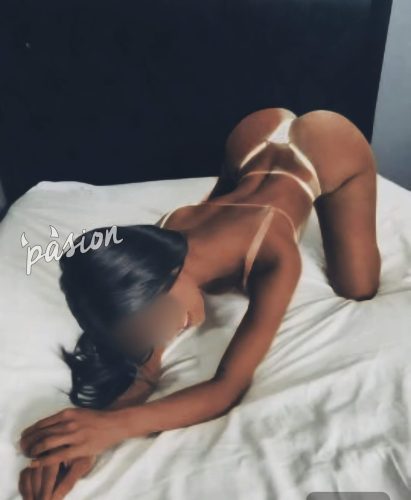 Estefania 3113953375