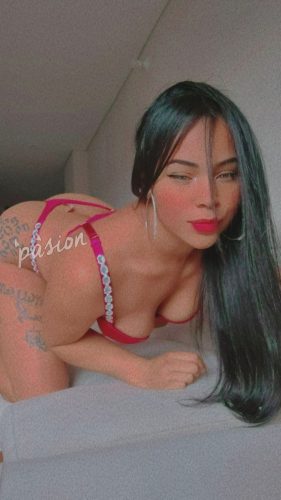 Sammy 3012400571