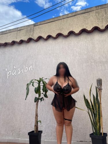 Sol leon 3236963249